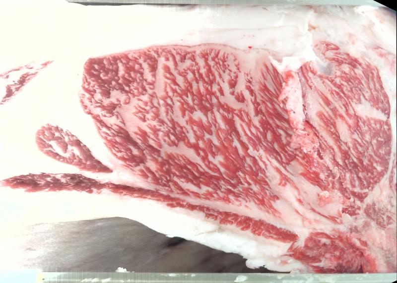 Lot 0368 ribeye cross-section