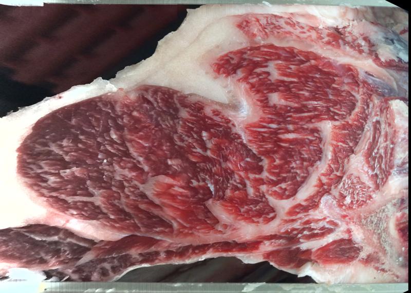 Lot 0900 ribeye cross-section