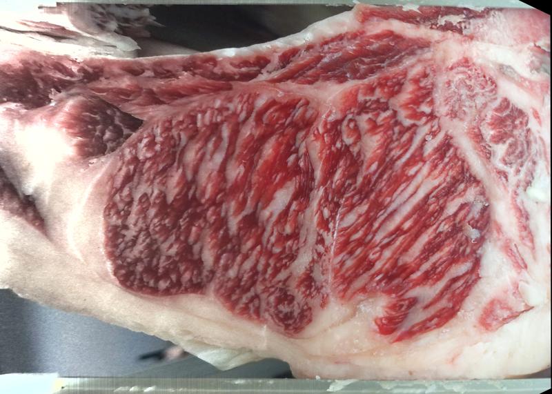 Lot 0927 ribeye cross-section